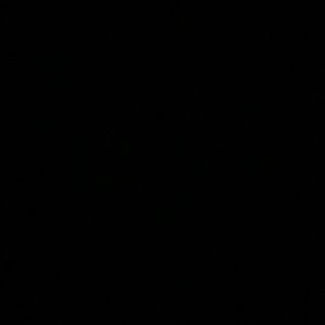 Meet your Posher, Jaylin